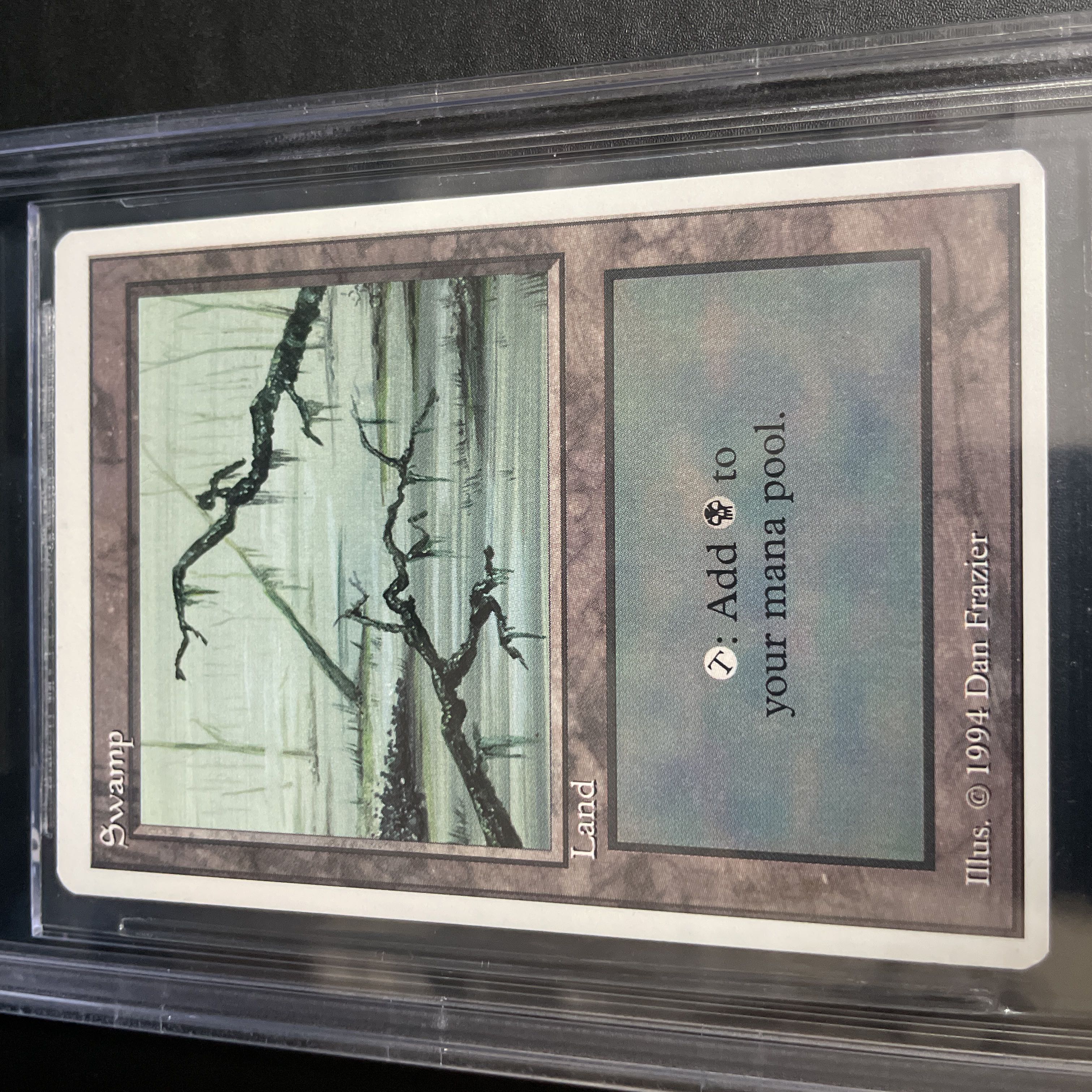 沼/Swamp Summer BGS7.5