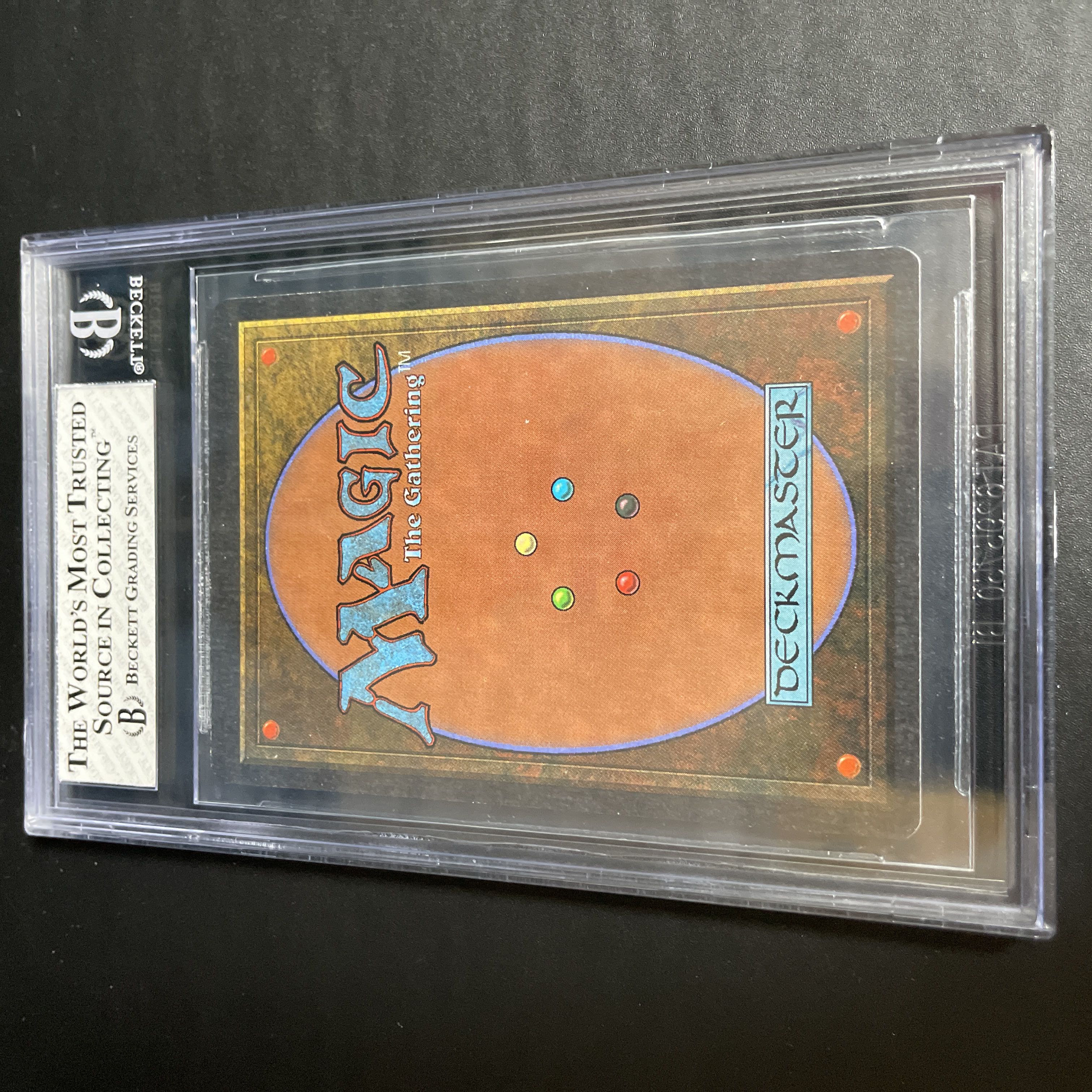 沼/Swamp Summer BGS7.5