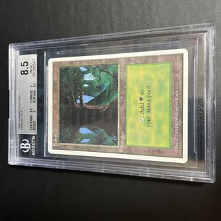 森/Forest Summer BGS8.5 1枚