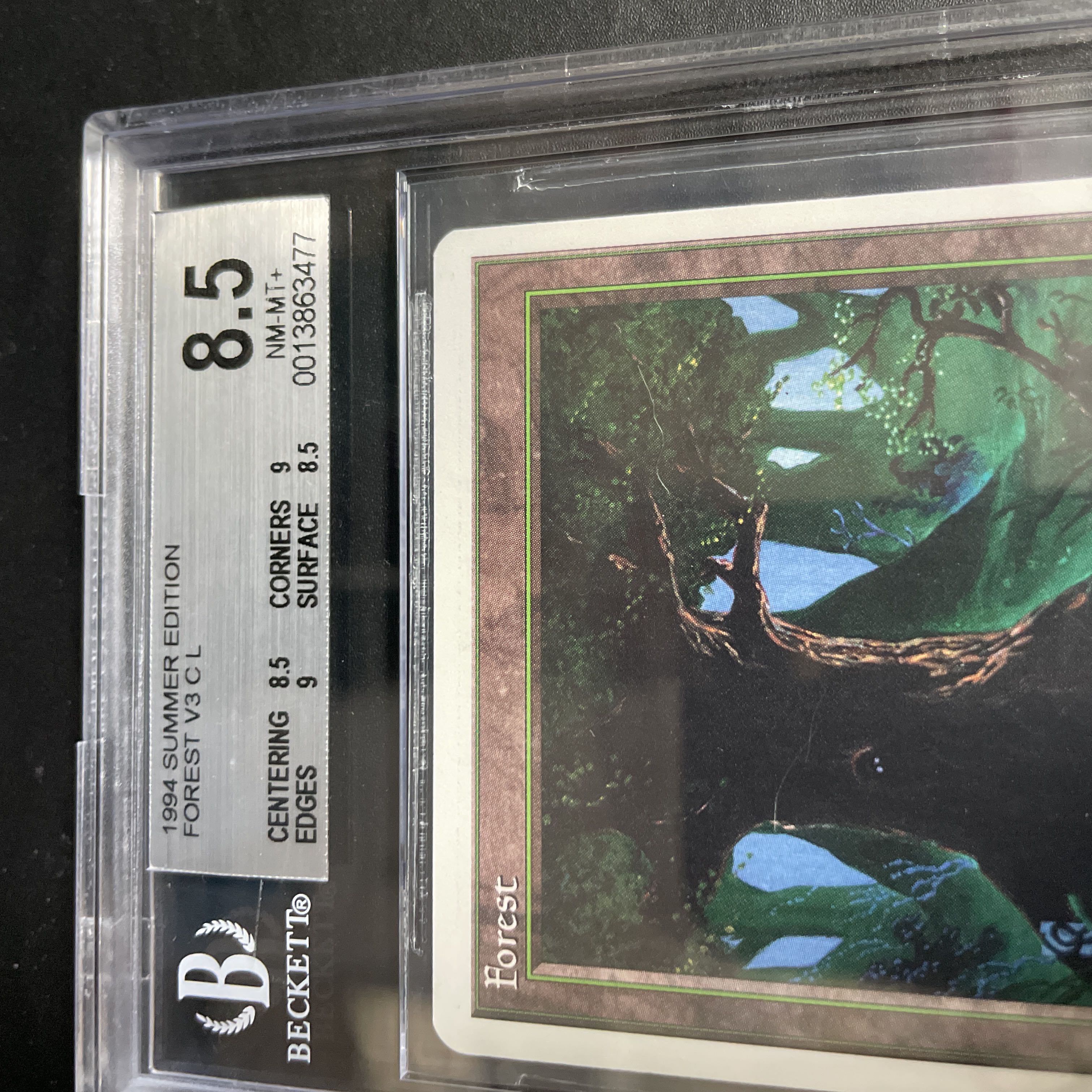 森/Forest Summer BGS8.5 1枚