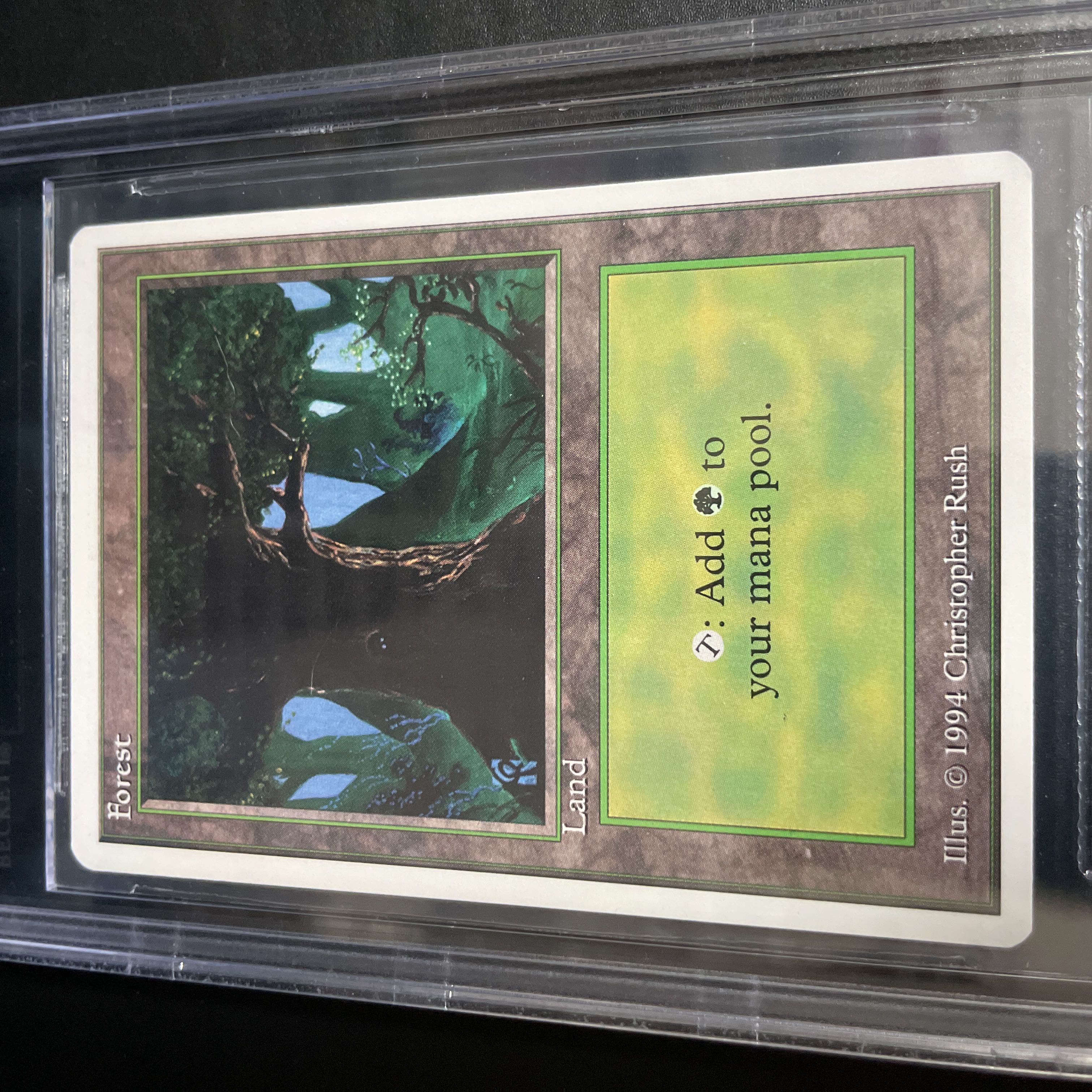 森/Forest Summer BGS8.5 1枚