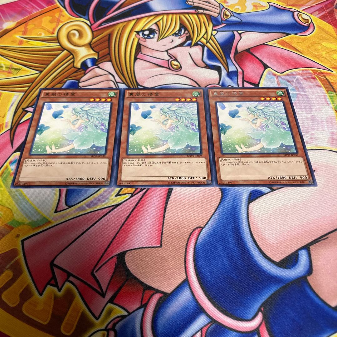 Spirit of the Fall Wind