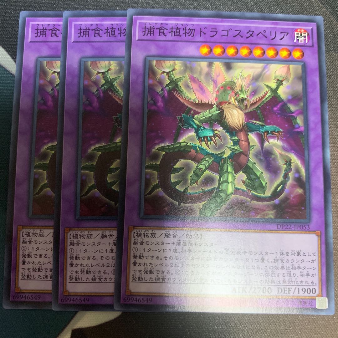 捕食植物ドラゴスタペリア