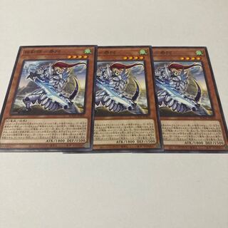 Sokenshi - Taia Normal