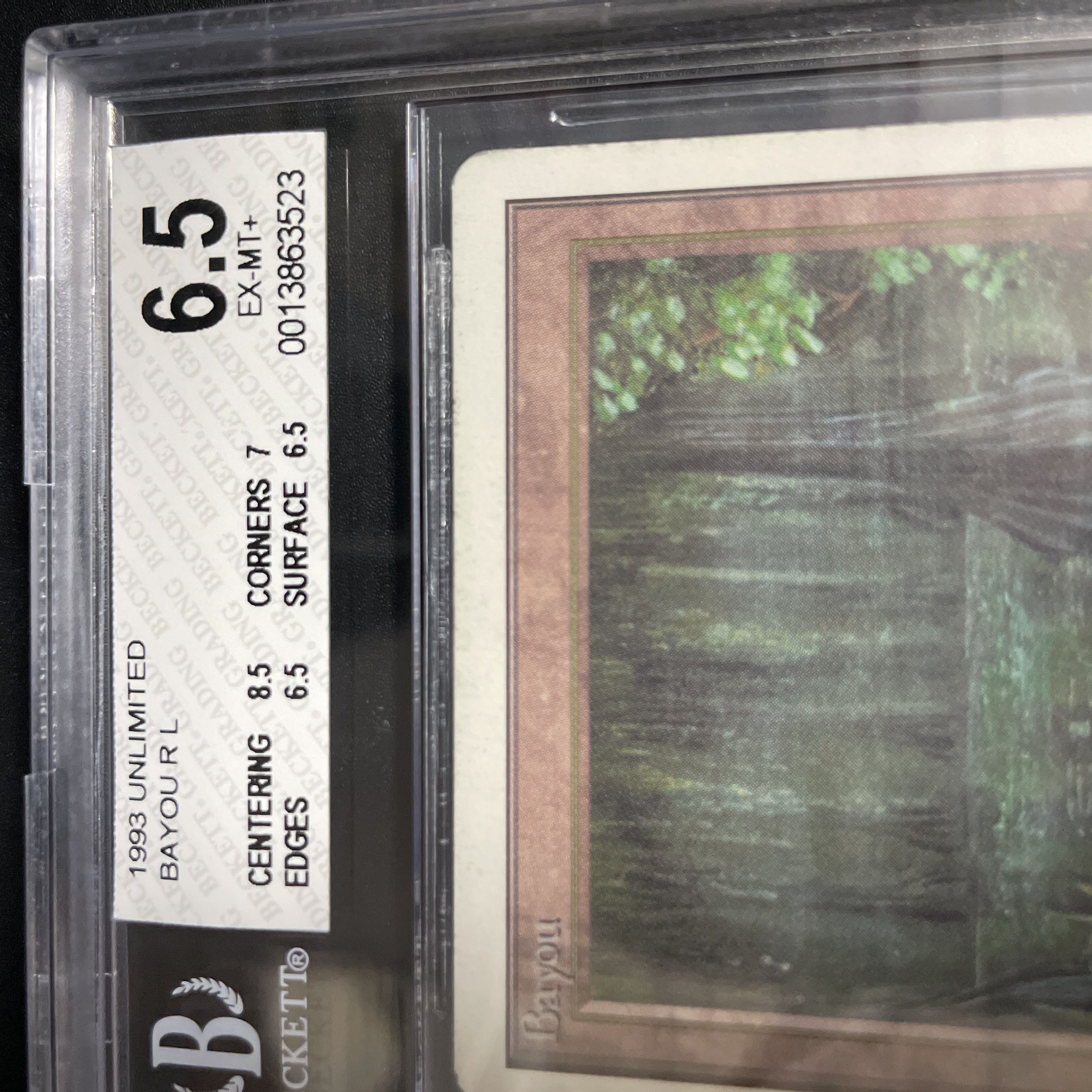 Bayou 2ED BGS6.5