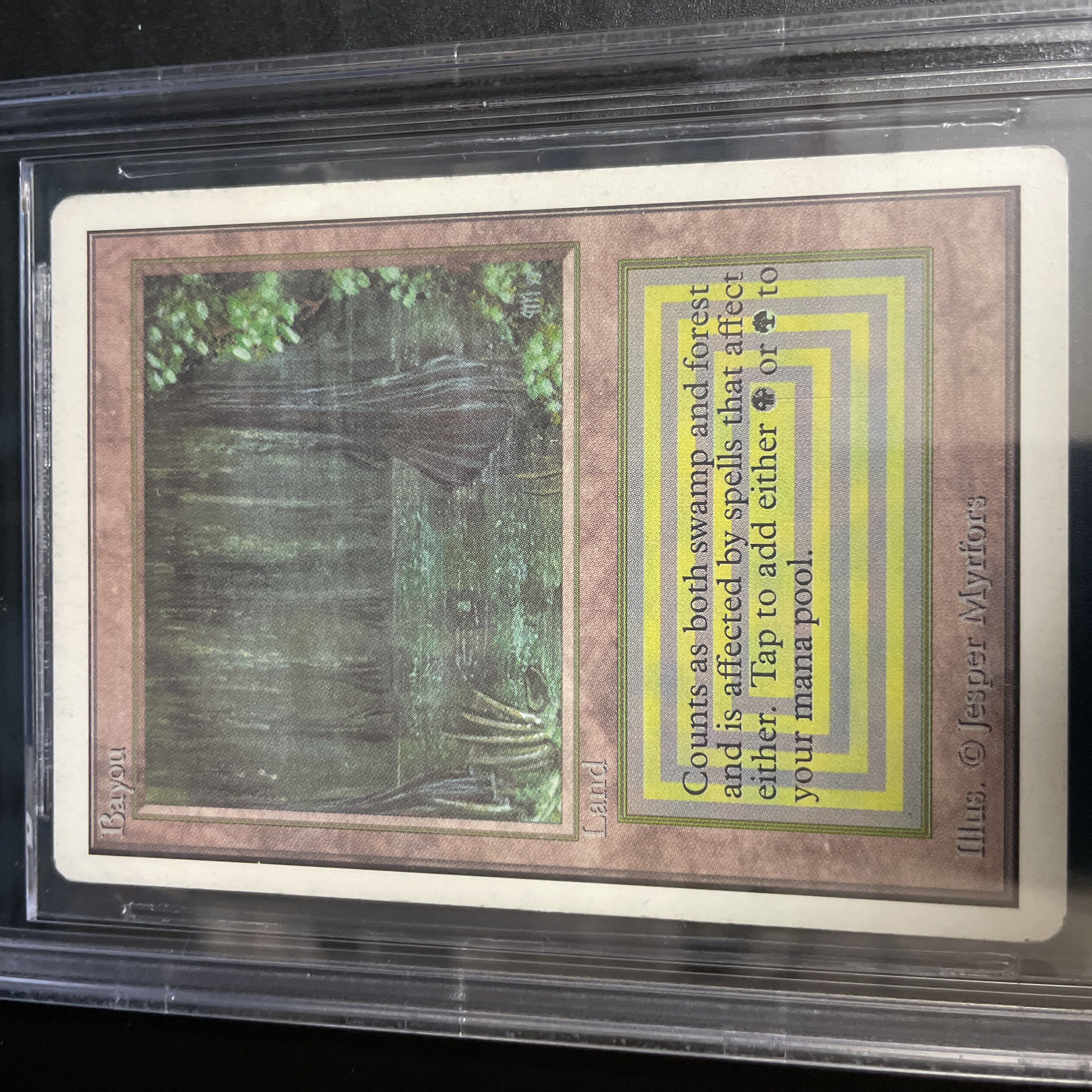 Bayou 2ED BGS6.5