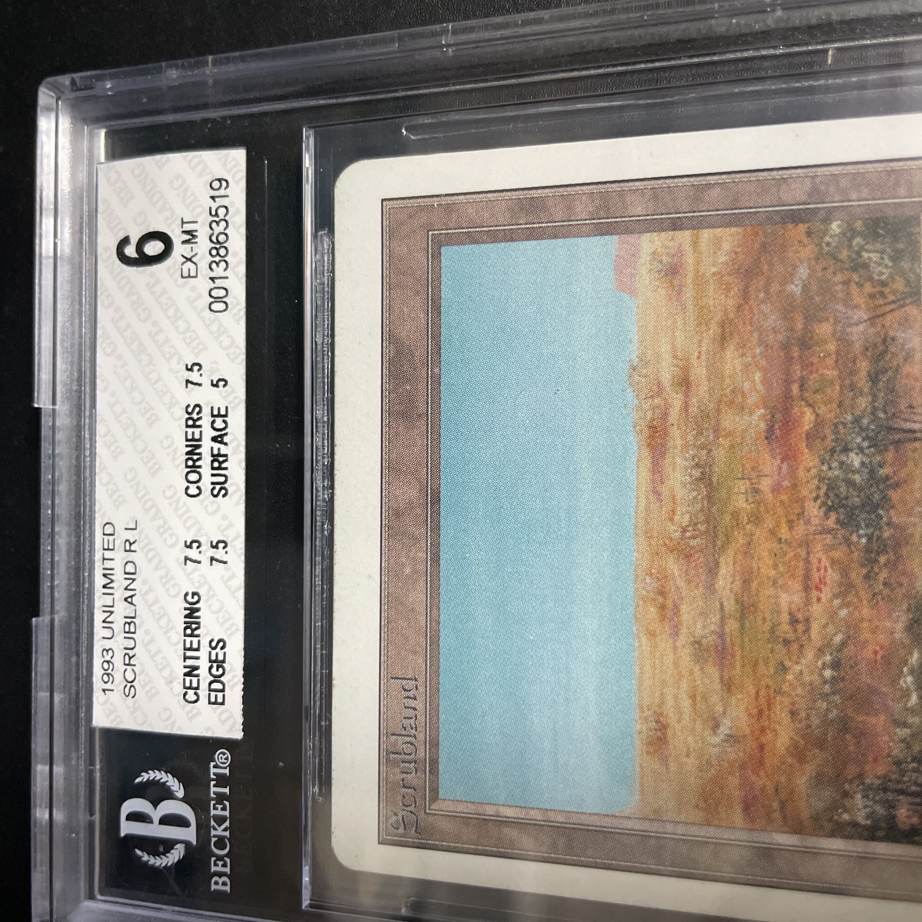 Scrubland 2ED BGS6