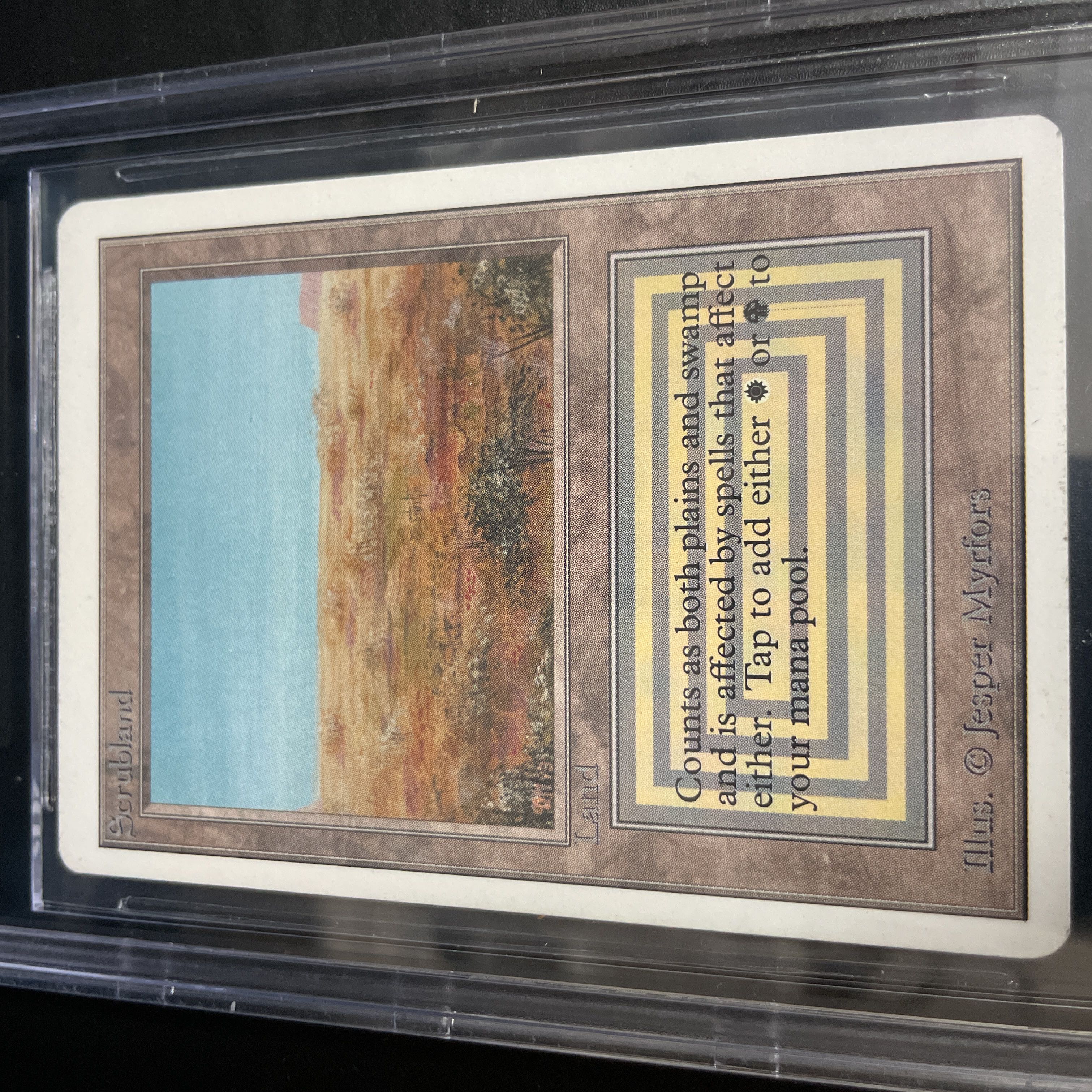 Scrubland 2ED BGS6