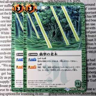 YU16 翡翠の老木 1枚