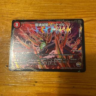 Ryukonjokaku Reduru｜Kyokushin Ryukon All Over the World (bottom)