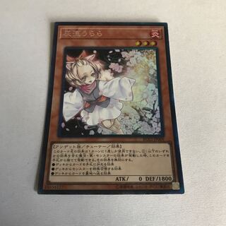 Ash Blossom & Joyous Spring Collector's Rare