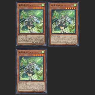 Wynn the Wind Channeler [Near] Ultra Rare 3 copies / Management:MY0112