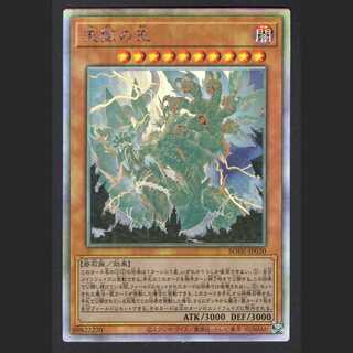 Lord of the Heavenly Prison [Near] Holographic/Managed by MY0127