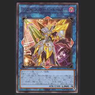 Accesscode Talker [near] Relief / Management:MY0128