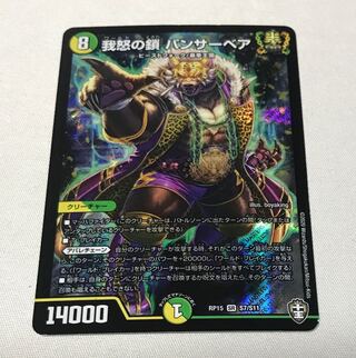 我怒の鎖 パンサーベア