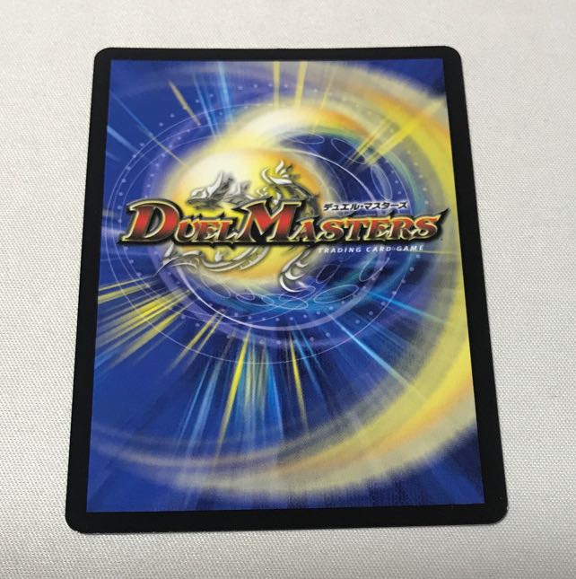 Chains of My Anger Panther Bear