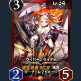 ワイバーンライダー 2枚セット(34レベル×2)