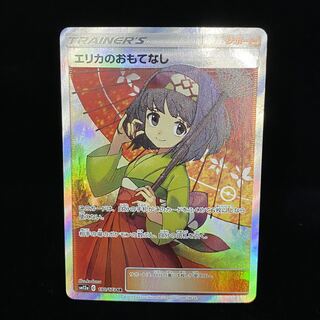 Erika's Hospitality SR 190/173