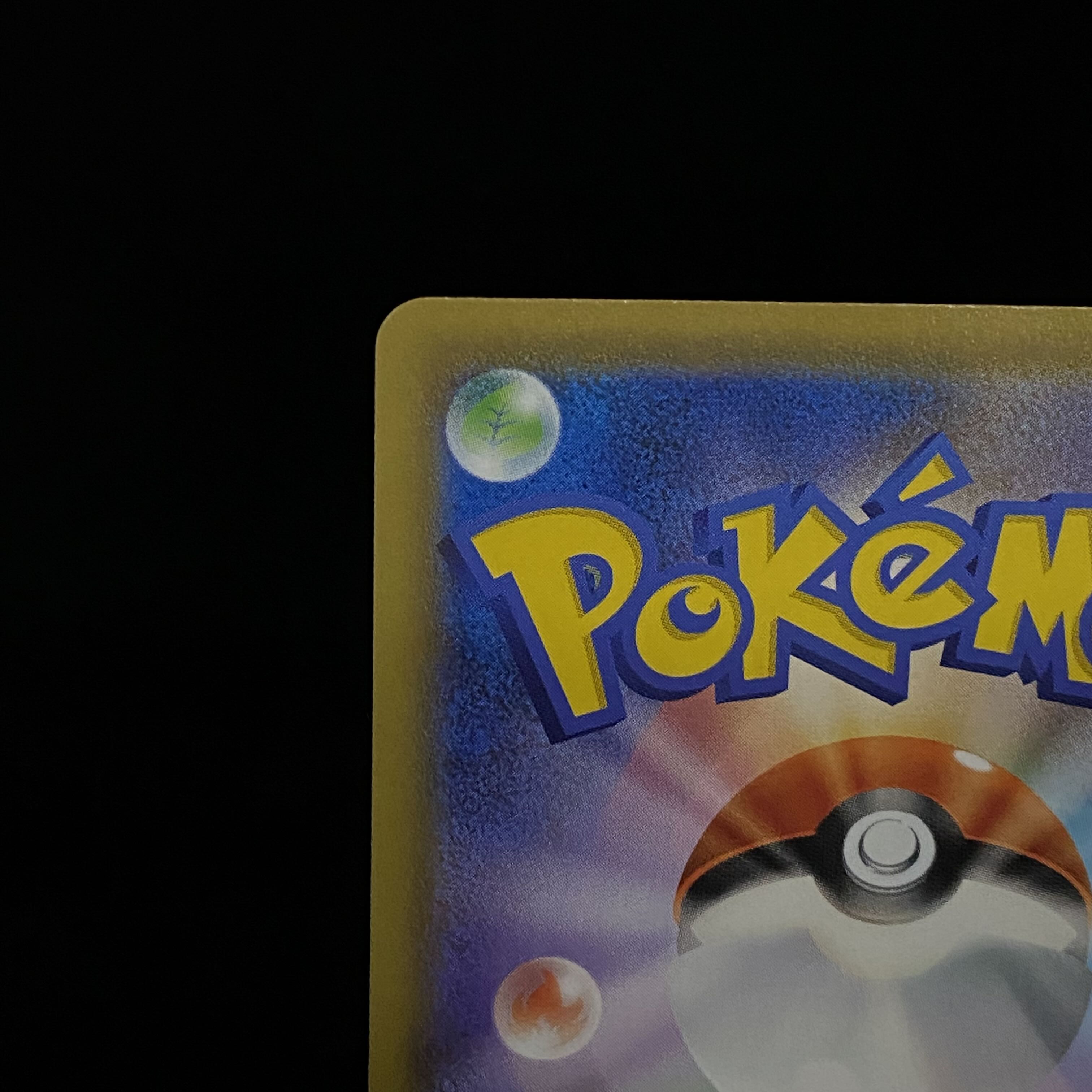 Erika's Hospitality SR 190/173