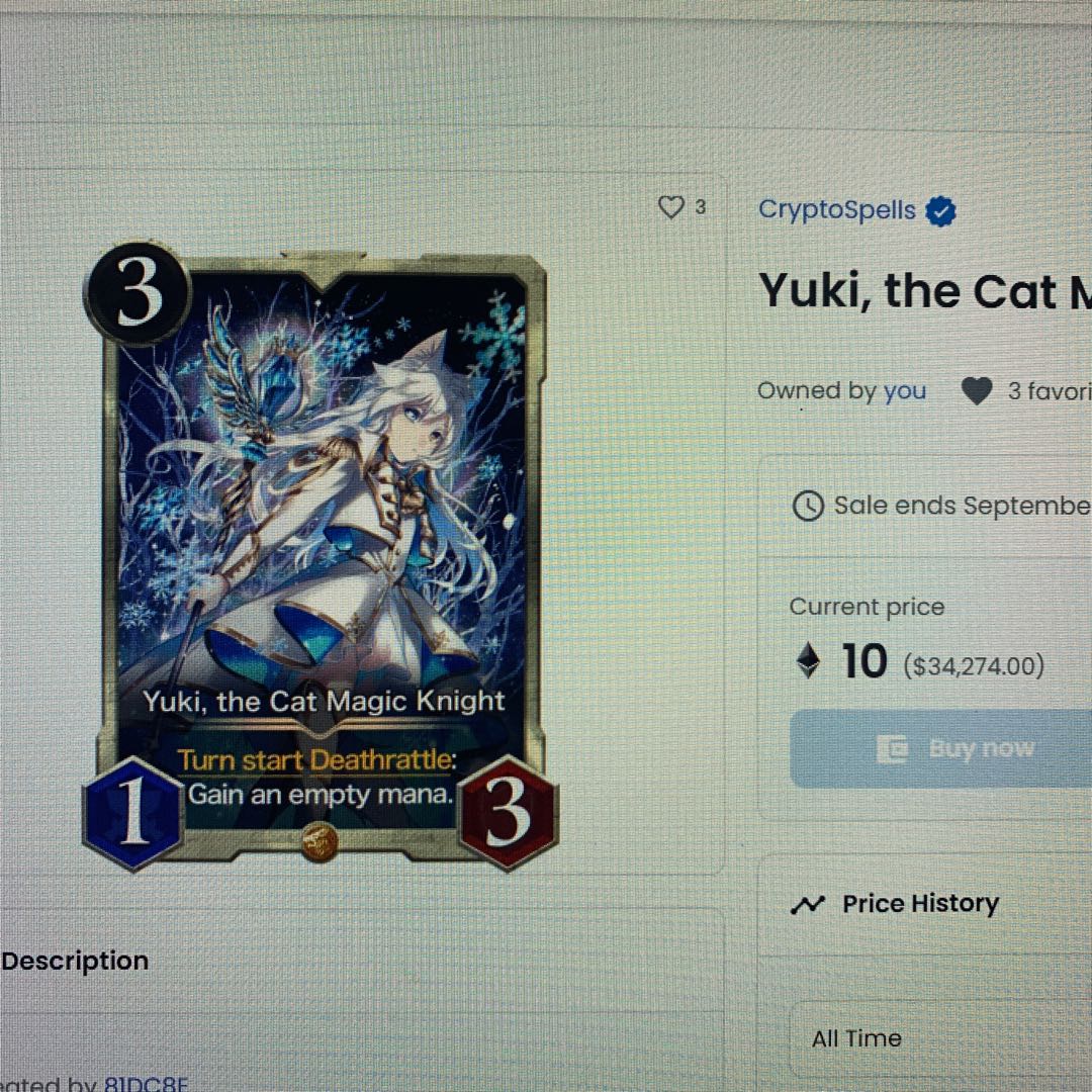 Cat Ear Magic Knight Yuki (Night) Serial 1