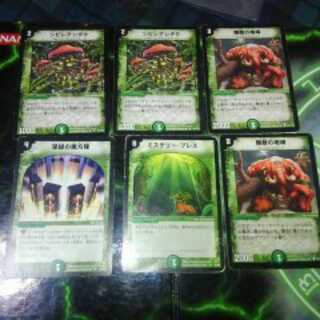 深緑の魔方陣　シビレアシダケ　他