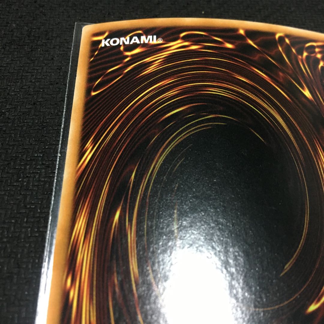 English Garden Rose Rosa Den Secret