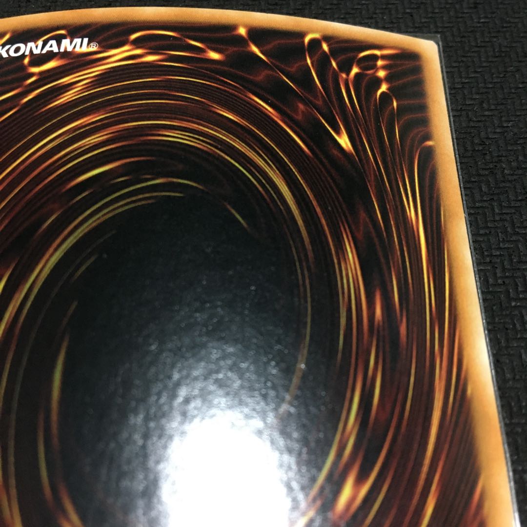 English Garden Rose Rosa Den Secret