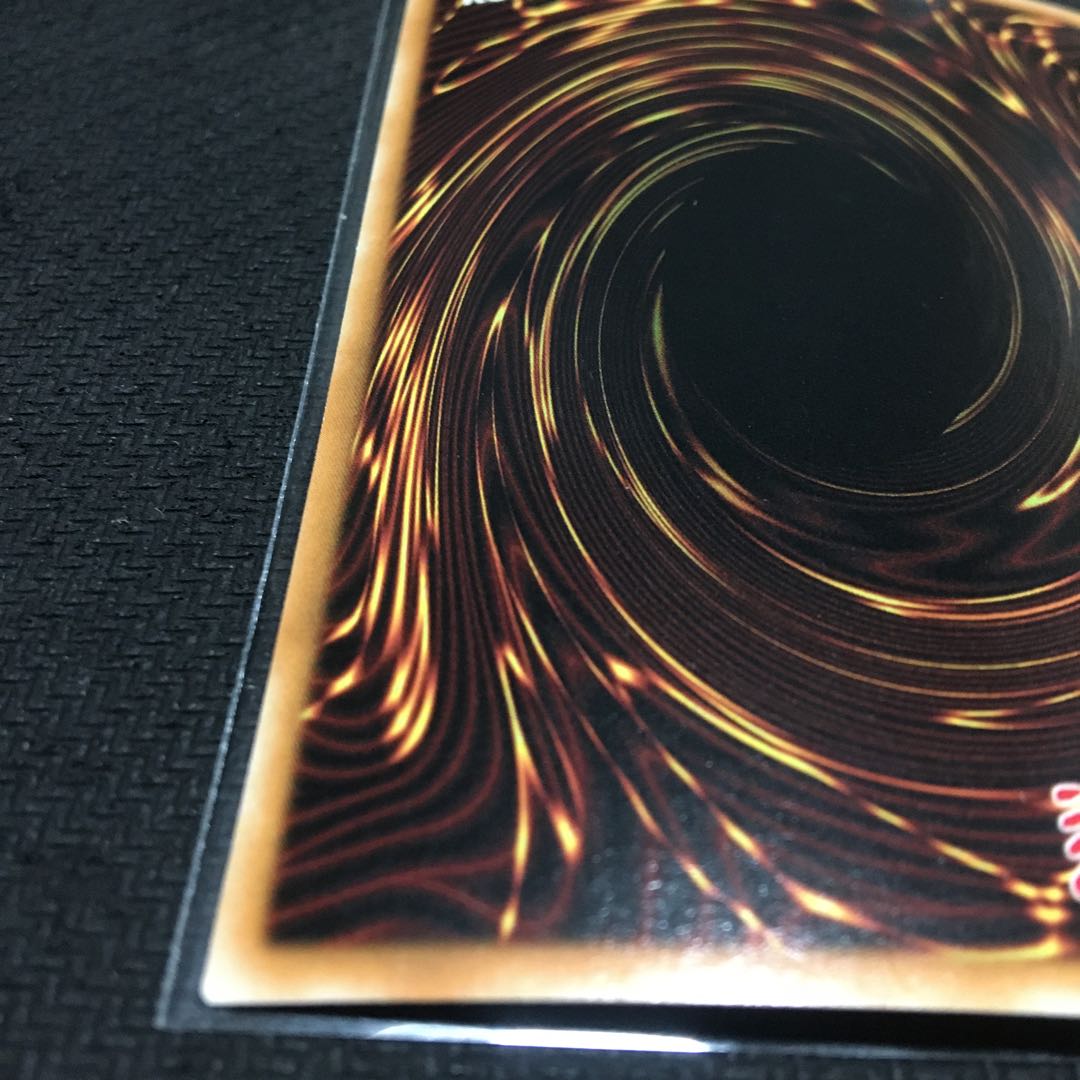 English Garden Rose Rosa Den Secret