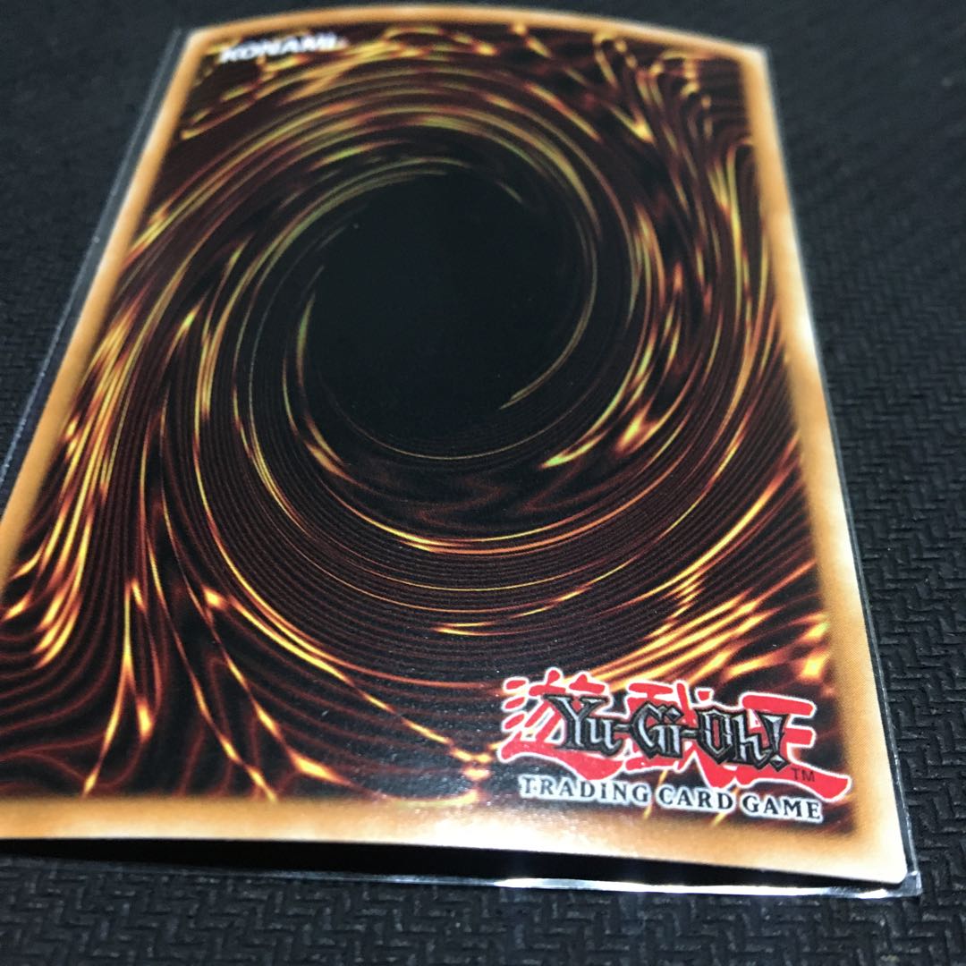 English Garden Rose Rosa Den Secret