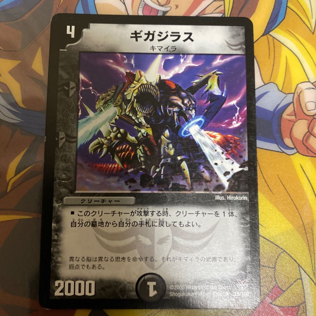 Gigasilla (genus of wrasse species in the family Labridae)