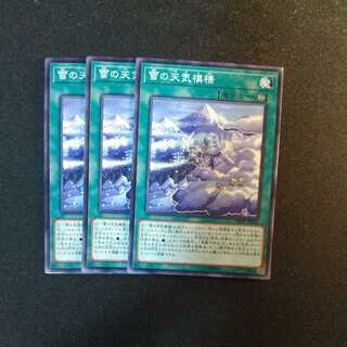 The Weather Snowy Canvas Normal