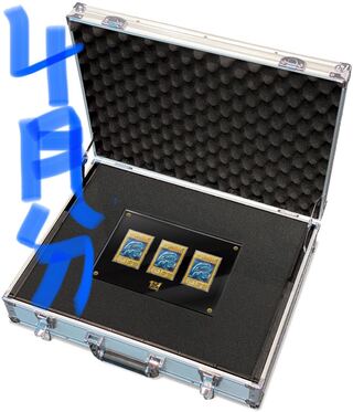 [Primary Life production, April arrival] Ultimate Umi horse set, unopened.