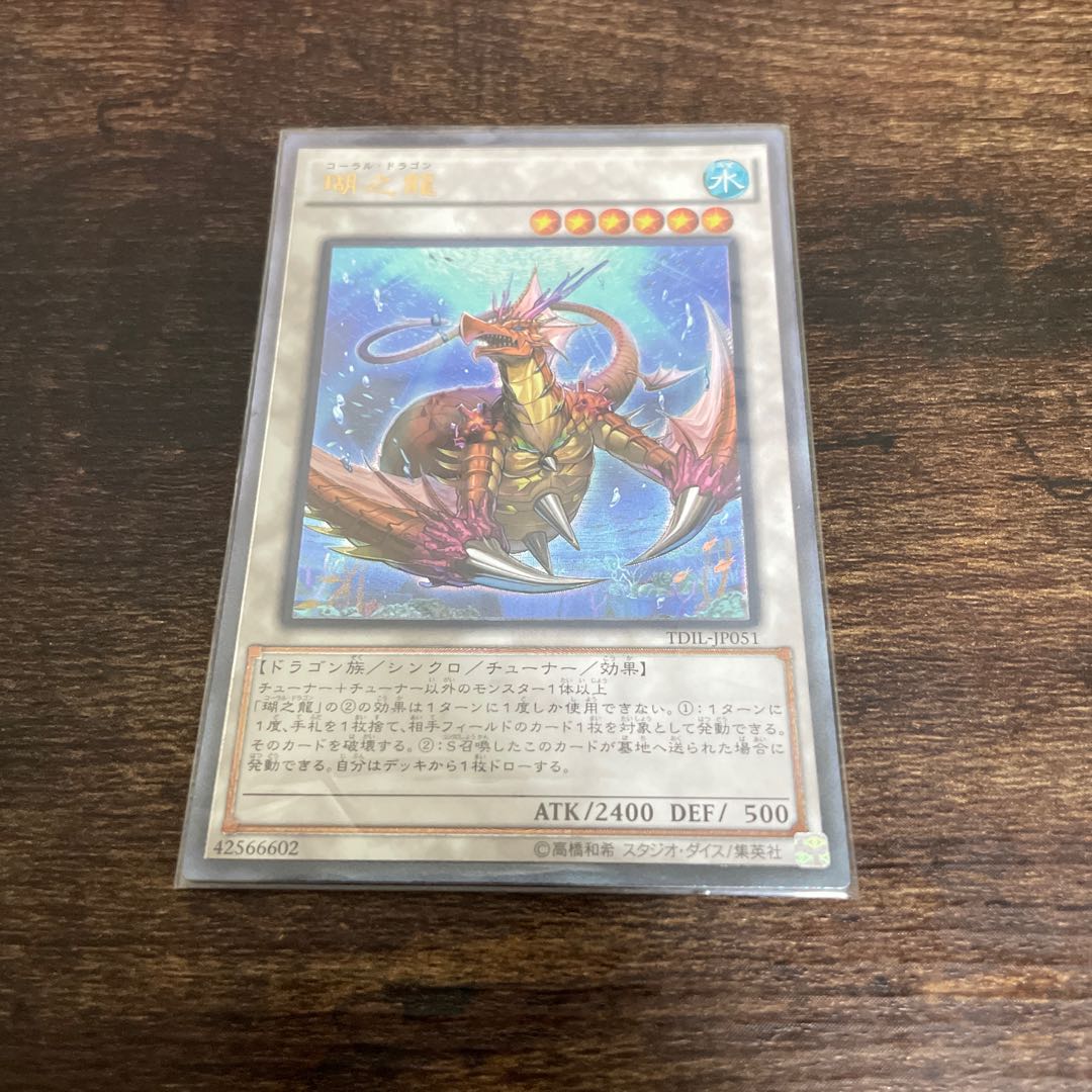 瑚之龍 レリーフ