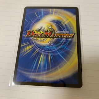 ぱぱちゃり 様専用