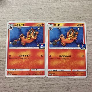 GYM Promo Torracat 2 pieces