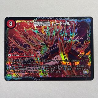 Ryukonjokaku Reduru｜Kyokushin Ryukon All Over the World (bottom)