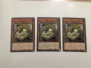 RIRA-JP012 Tenyi Spirit - Adhara 3 copies