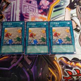 化石調査 ノーマル　3枚セット