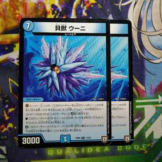 Shellbug, Uni, 2770.