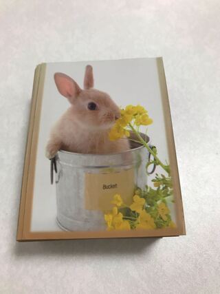 ウサギ　スリーブ　うさぎ　兎　52枚