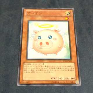 ブーテン　【木林堂】