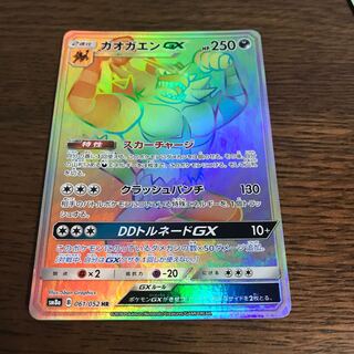 ガオガエン　HR