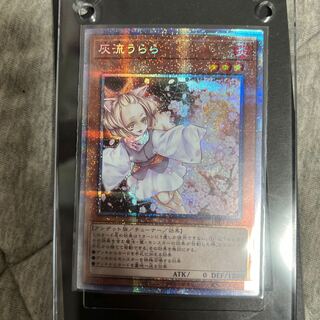 遊戯王 灰流うらら　プリズマ　プリシク　格安