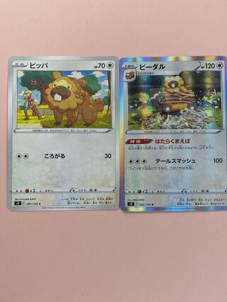 Bibarel Bidoof Evolution Line