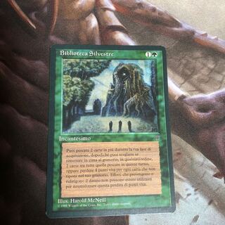 森の知恵　伊lne B