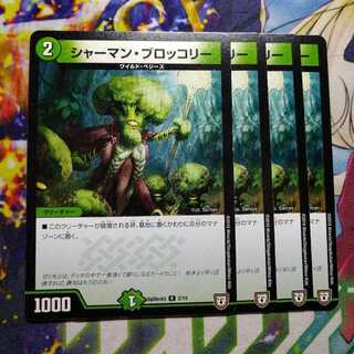 Shaman Broccoli 2849