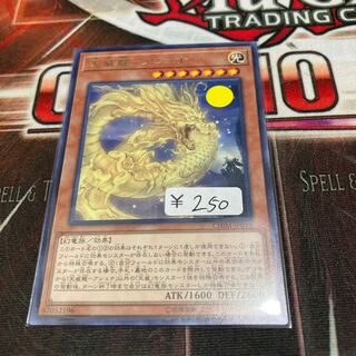 Tenwei Ryu - Ashna Rare 1 copy Special Price