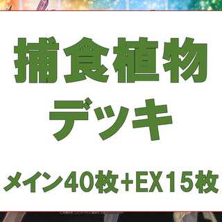 Yu-Gi-Oh Prey Upon deck Rosaan 40 cards EX 15 cards