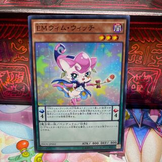 No.540 P屋　EMウィム・ウィッチ 【スー】