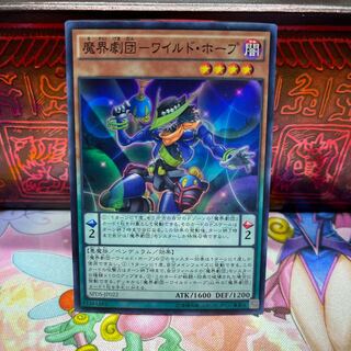 No.543 P shop - Wild Hope